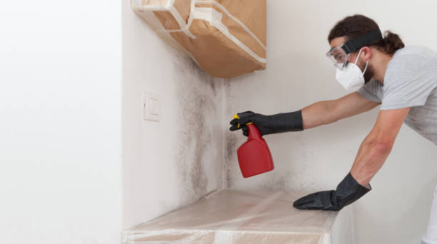 Professional Commercial Mold Remediation technician working in Kewadin, MI